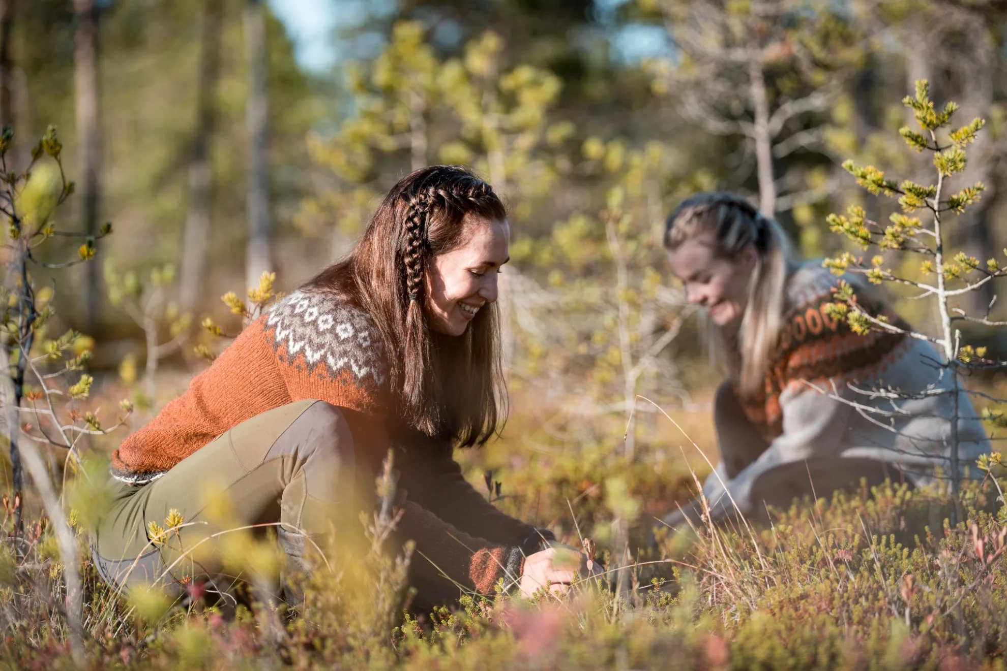 WILD TRAILS - An autumn taste journey on the bog - a peaceful, refreshing nature walk combining movement, natural beauty and flavour