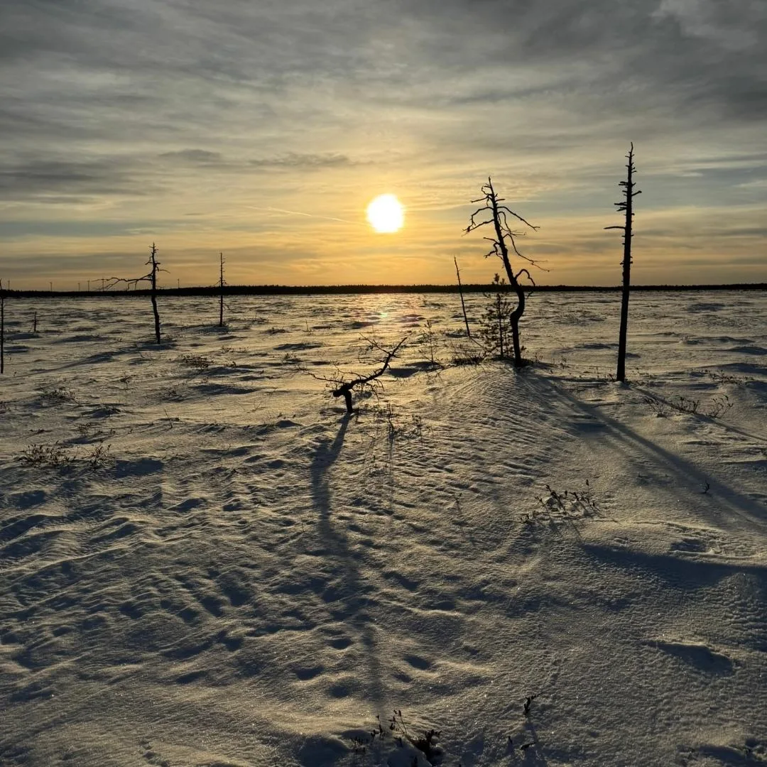 WILD TRAILS -Talviretkeily
Seikkailuja talvisissa maisemissa