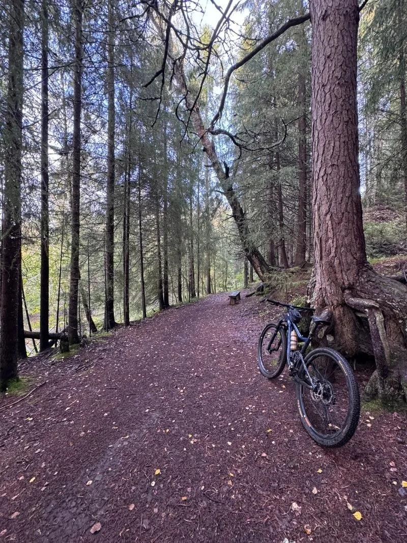 WILD TRAILS - Pyöräretket Pohjanmaan metsissä upeissa maisemissa ja metsäteillä