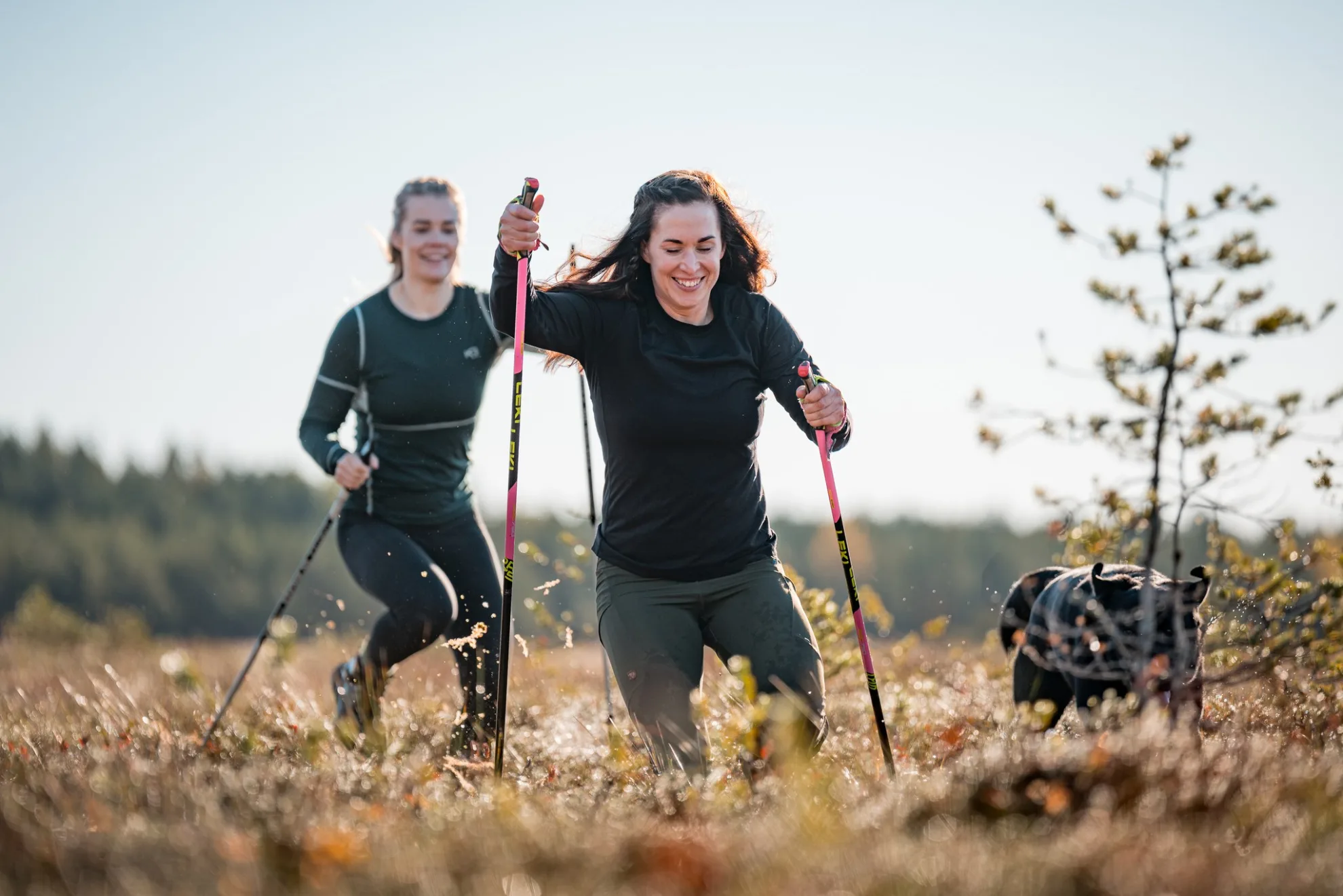 Wild Trails - Moving in nature — stronger together