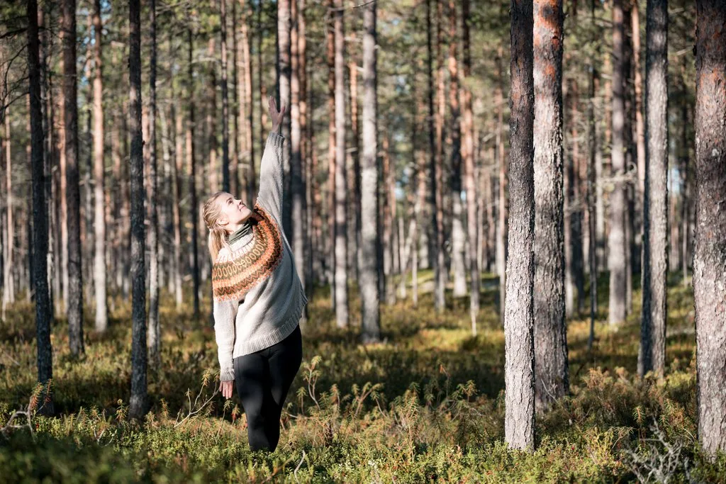 WILD TRAILS - Forest moment - a forest bath on the bog´s edge